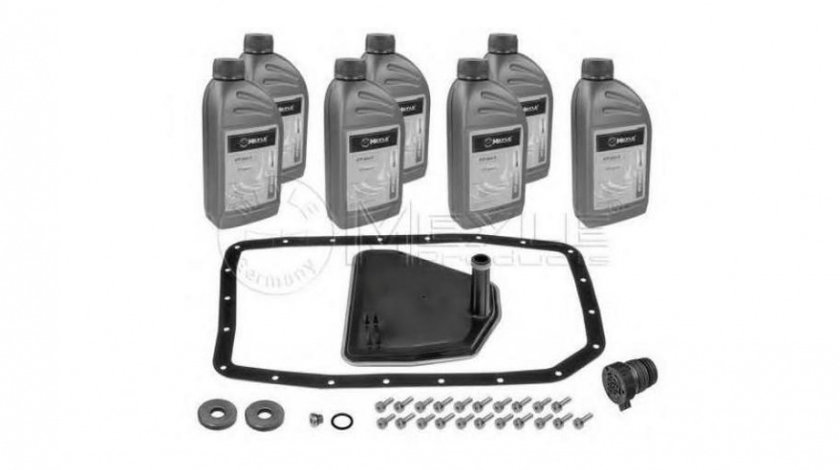 Set piese, schimb ulei transmisie automata BMW X5 (E53) 2000-2006 #2 24117543550