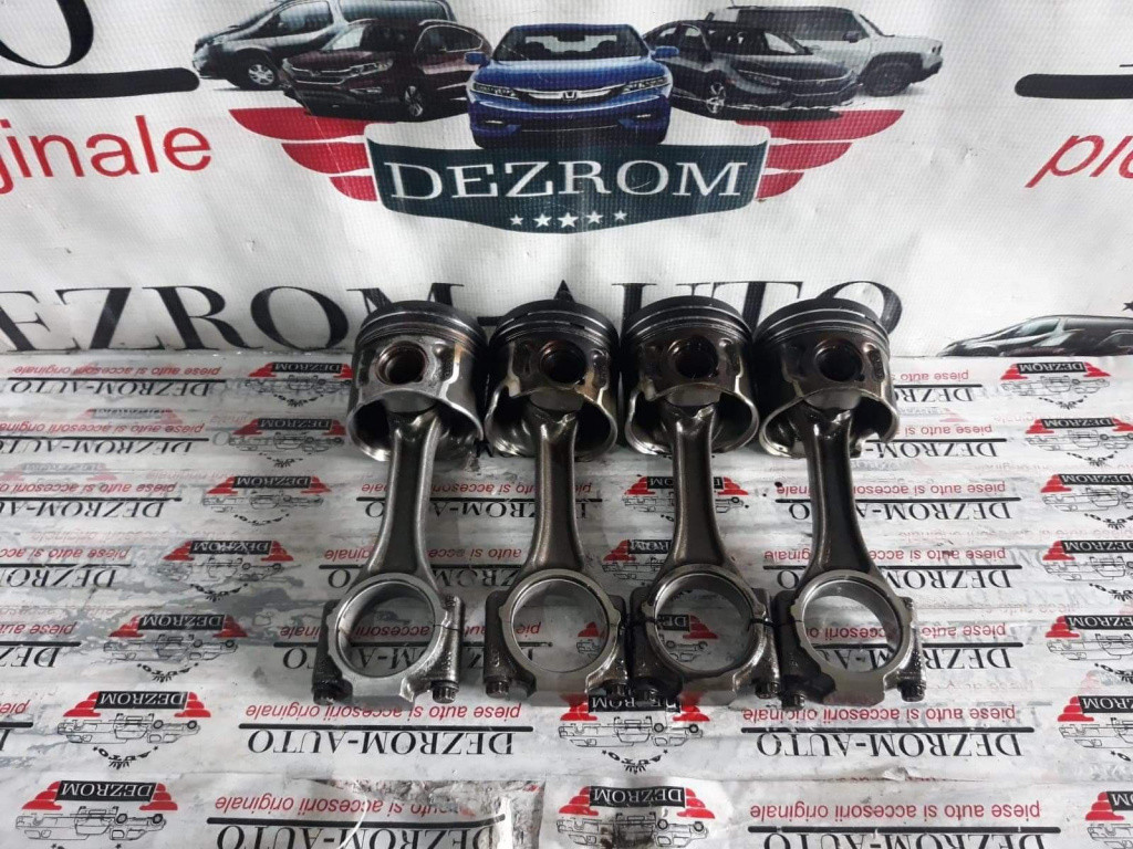 Set Pistoane Skoda Roomster 1.9 TDI 105 CP cod motor BLS