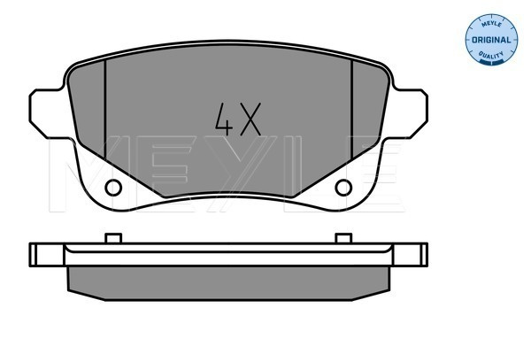 Set placute frana,frana disc puntea spate (0252482016 MEYLE) RENAULT