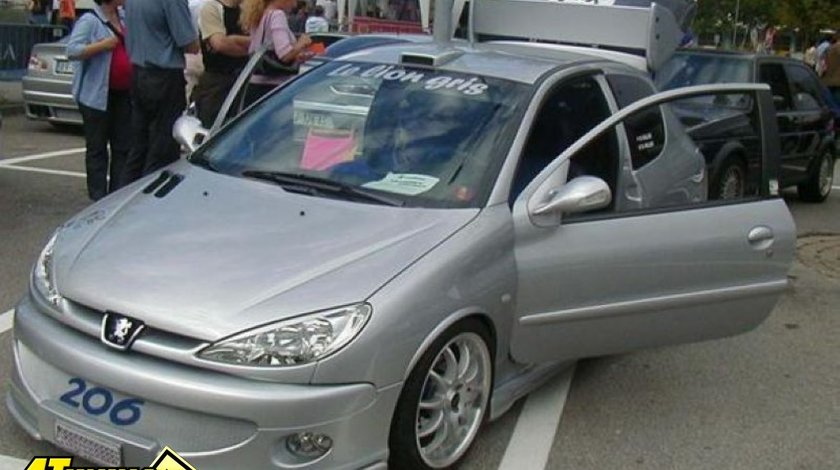 Set pleoape faruri Peugeot 206 ver2