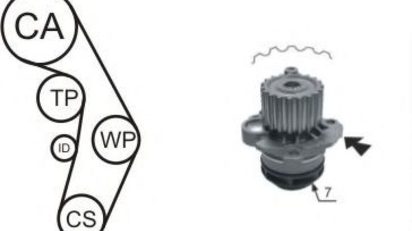 Set pompa apa + curea dintata AUDI A4 Avant (8D5, B5) (1994 - 2001) AIRTEX WPK-177405 piesa NOUA