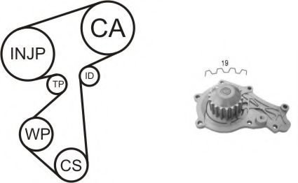 Set pompa apa + curea dintata FORD FUSION (JU) (2002 - 2012) AIRTEX WPK-167801 piesa NOUA