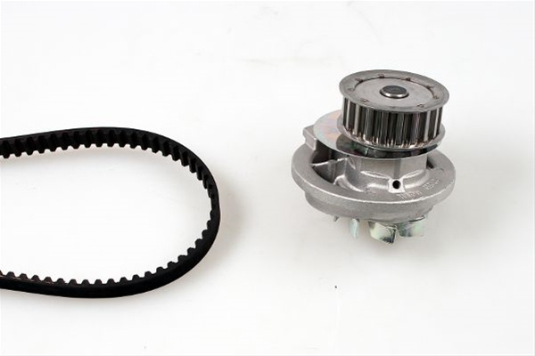 Set Pompa Apa + Curea Dintata Hepu Bedford PK03980