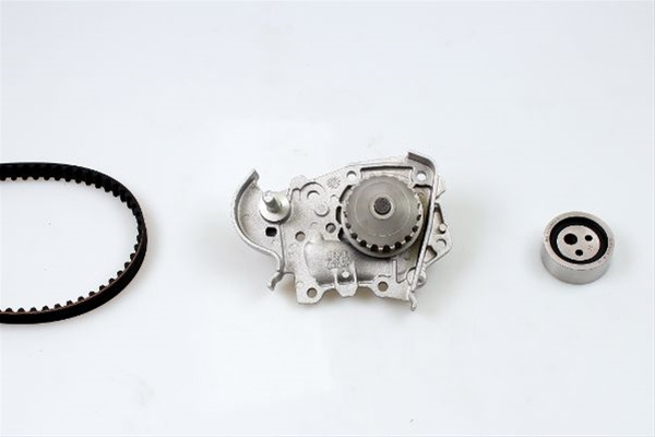 Set Pompa Apa + Curea Dintata Hepu Dacia PK08490