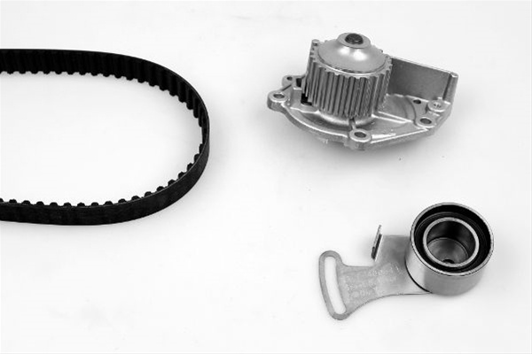 Set Pompa Apa + Curea Dintata Hepu Rover PK00450