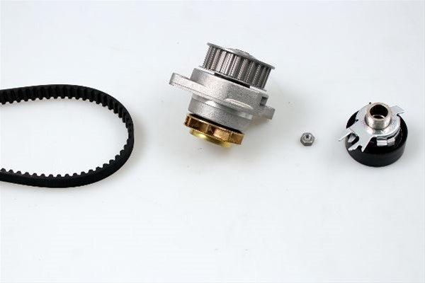 Set Pompa Apa + Curea Dintata Hepu Seat PK05402
