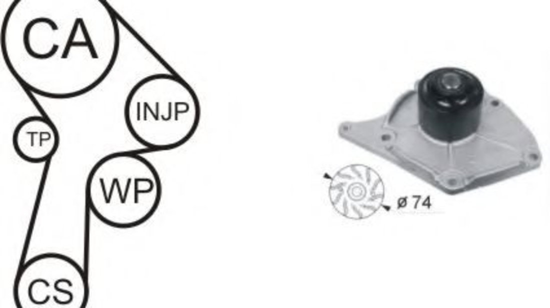 Set pompa apa + curea dintata NISSAN MICRA III (K12) (2003 - 2010) AIRTEX WPK-174601 piesa NOUA