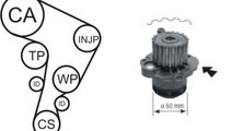 Set pompa apa + curea dintata SEAT CORDOBA (6L2) (...