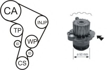Set pompa apa + curea dintata SEAT IBIZA IV (6L1) (2002 - 2009) AIRTEX WPK-177701 piesa NOUA
