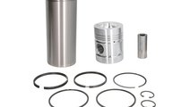 Set raparatii, piston/bucsa cursa cilindru CATERPI...