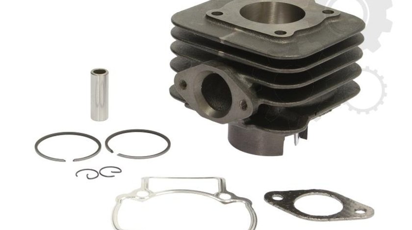 Set raparatii piston/bucsa cursa cilindru Producator RMS RMS 10 008 0010