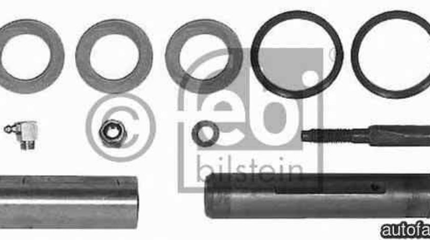 Set reparatie bolt arc MERCEDES-BENZ SK FEBI BILSTEIN 05491