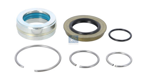 Set Reparatie Cilindru Basculare Diesel Technic Dt Iveco 7.96007