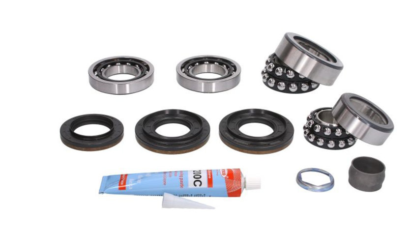 Set reparatie diferential BMW Seria 1 (E81), 1 (E82), 1 (E87), 1 (E88), 3 (E90), 3 (E91), 3 (E92), 3 (E93), 5 (E60), 6 (E63), 6 (E64), 7 (E65, E66, E67), X1 (E84), X5 (E70) 1.6-4.8 intre 2004-2015