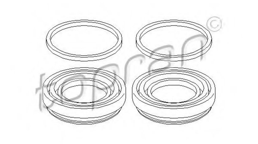 Set reparatie, etrier AUDI A4 (8E2, B6) (2000 - 2004) TOPRAN 103 627 piesa NOUA