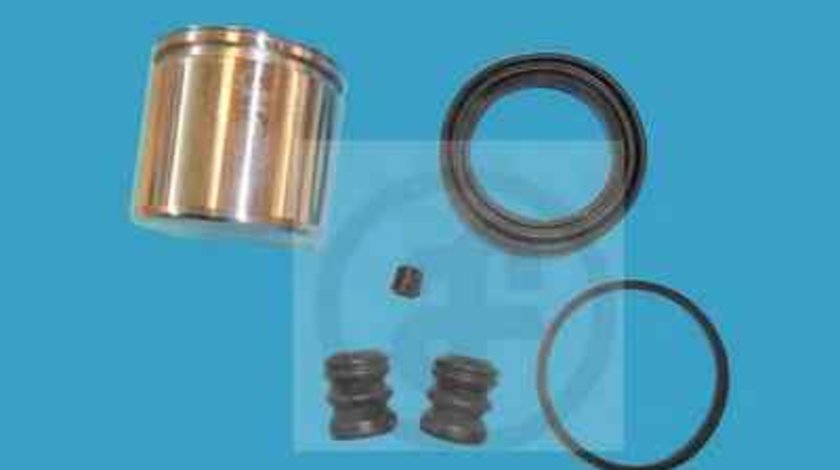 Set reparatie etrier AUSTIN MAESTRO XC AUTOFREN SEINSA D41179C