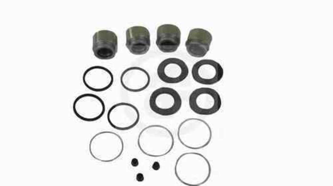 Set reparatie etrier BMW 5 E28 AUTOFREN SEINSA D4854C