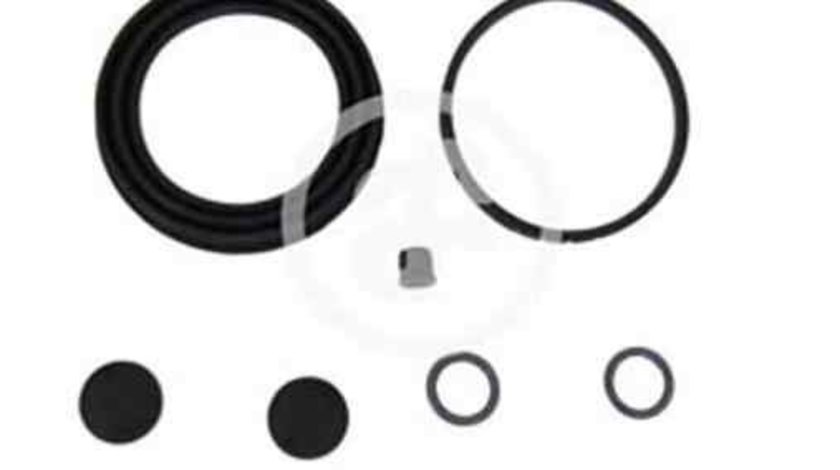 Set reparatie, etrier CHRYSLER VOYAGER IV (RG, RS) AUTOFREN SEINSA D4823