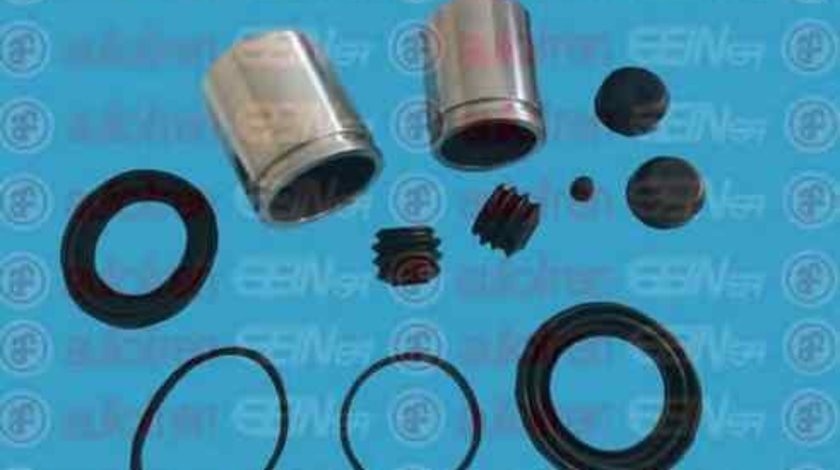 Set reparatie etrier CITROËN JUMPER caroserie 244 AUTOFREN SEINSA D41585C