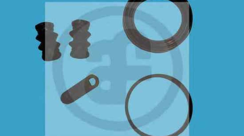 Set reparatie etrier DACIA DUSTER AUTOFREN SEINSA D4256