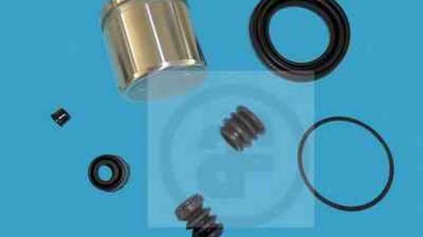 Set reparatie etrier HYUNDAI ACCENT II LC AUTOFREN SEINSA D4984C