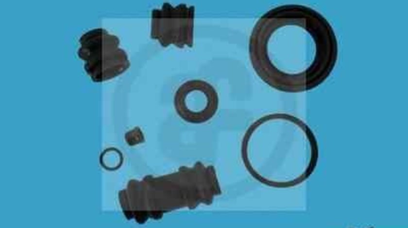 Set reparatie, etrier KIA CARENS II (FJ) AUTOFREN SEINSA D4826