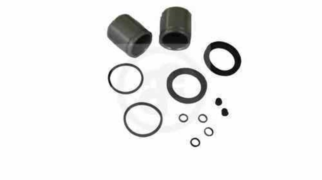 Set reparatie etrier NISSAN CABSTAR E AUTOFREN SEINSA D41058C