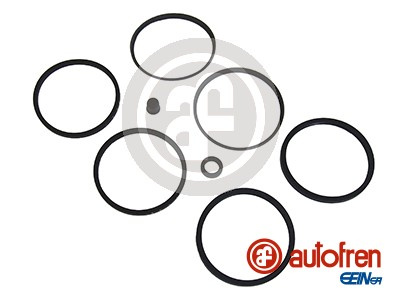 Set reparatie, etrier punte fata (D4079 AUT) FORD,LDV,ROVER,TRIUMPH