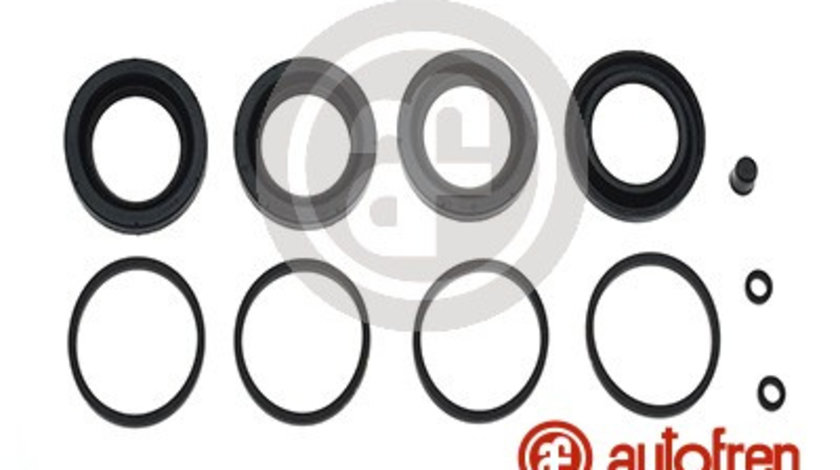 Set reparatie, etrier punte fata (D4896 AUT) CHRYSLER,FORD,JEEP,MERCEDES-BENZ,VW