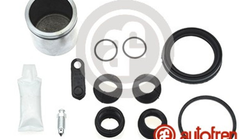 Set reparatie, etrier punte fata (D4969C AUT) ALFA ROMEO,Citroen,PEUGEOT,RENAULT