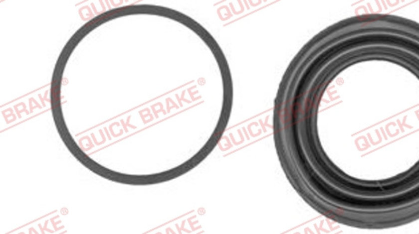 Set reparatie, etrier puntea spate (1140086 QBK) AUDI,DACIA,FORD,JEEP,MINI,OPEL,RENAULT,SMART,VW