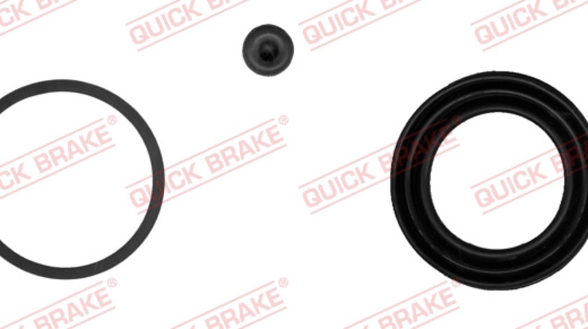 Set reparatie, etrier puntea spate (1140173 QBK) CHRYSLER,DODGE,SMART