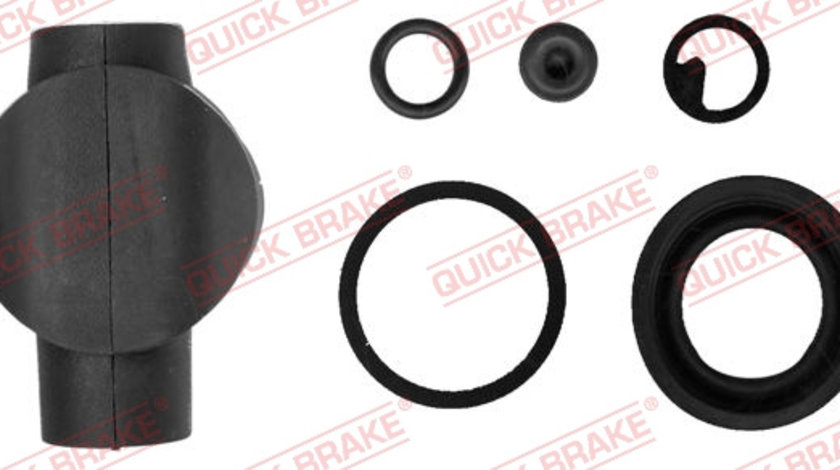 Set reparatie, etrier puntea spate (1140267 QBK) Citroen,PEUGEOT,RENAULT