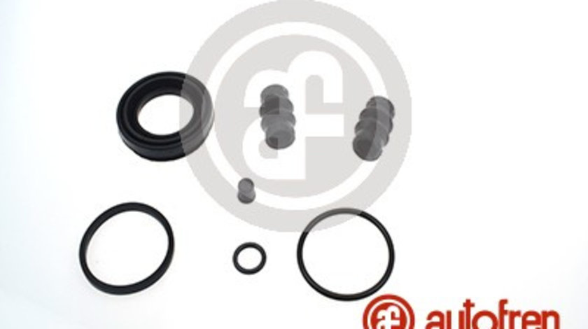 Set reparatie, etrier puntea spate (D41631 AUT) ALPINA,AUDI,BENELLI MOTORCYCLES,HUMMER,LAND ROVER,VAUXHALL,VW