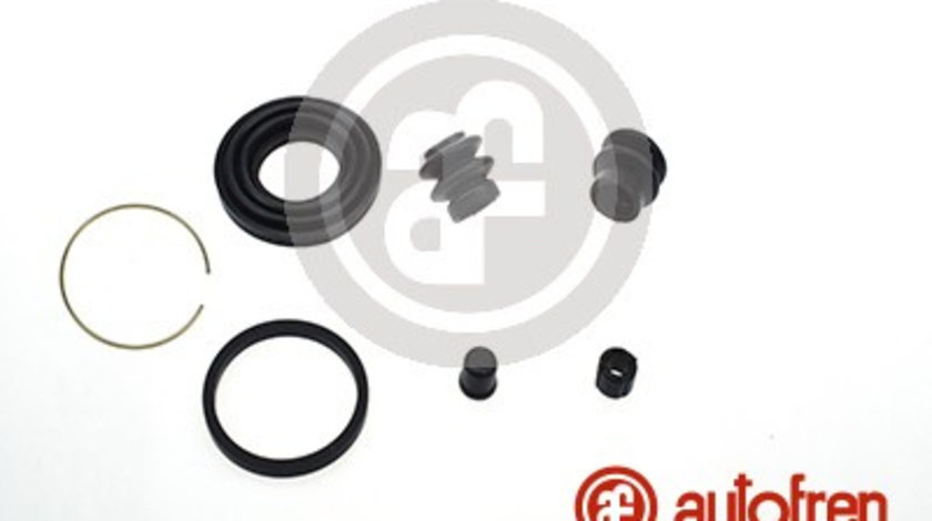 Set reparatie, etrier puntea spate (D41812 AUT) CHRYSLER,Citroen,DODGE,HYUNDAI,JEEP,LANCIA,MITSUBISHI,PEUGEOT