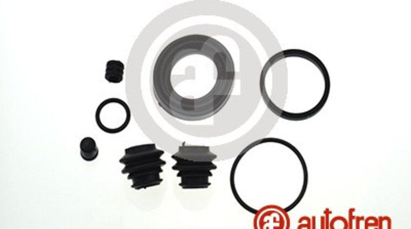 Set reparatie, etrier puntea spate (D42224 AUT) HYUNDAI,KIA