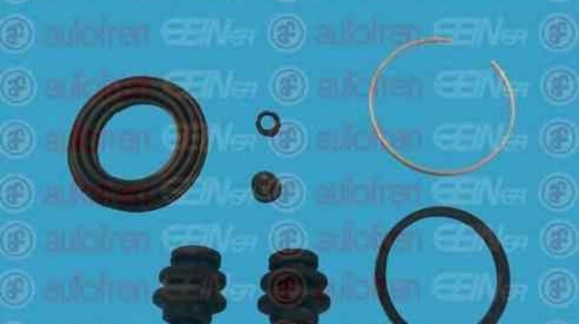 Set reparatie, etrier TOYOTA RAV 4 III (ACA3_, ACE_, ALA3_, GSA3_, ZSA3_) AUTOFREN SEINSA D41690