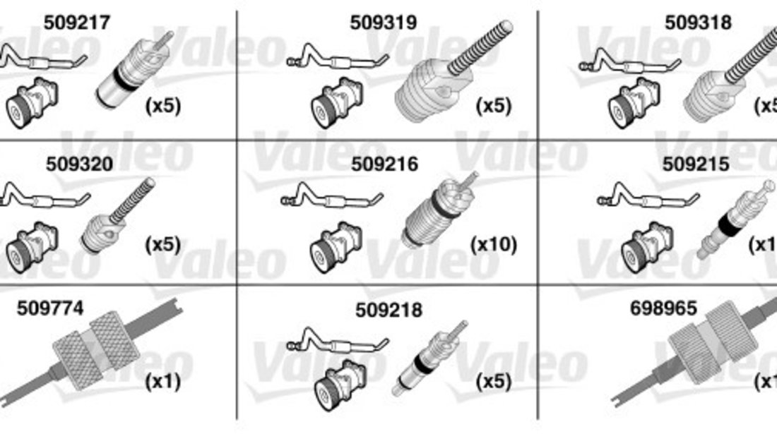 Set reparatie inel O (509735 VALEO)