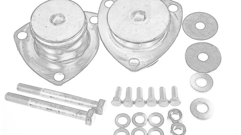 Set reparatie, lagare cabina sofer IVECO DAILY V Box Body / Estate OE IVECO 42555620