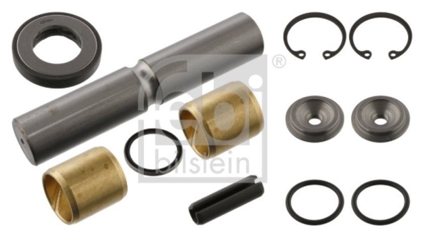 Set reparatie, pivot Axa fata ambele parti (03652 FEBI BILSTEIN) MERCEDES-BENZ