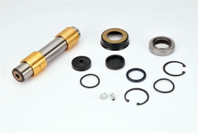 Set Reparatie, Pivot Lema Renault 807