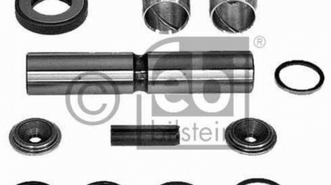 Set reparatie, pivot Mercedes T1 platou / sasiu (602) 1977-1996 #2 010653