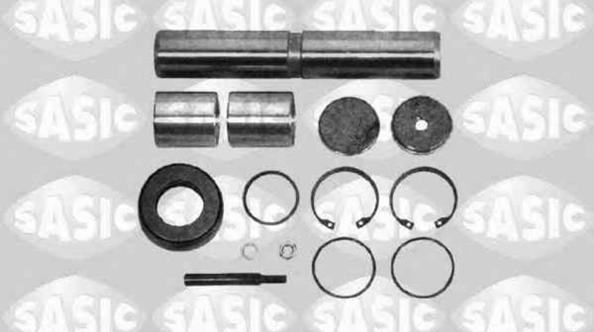 Set reparatie, pivot Producator LEMA LE207