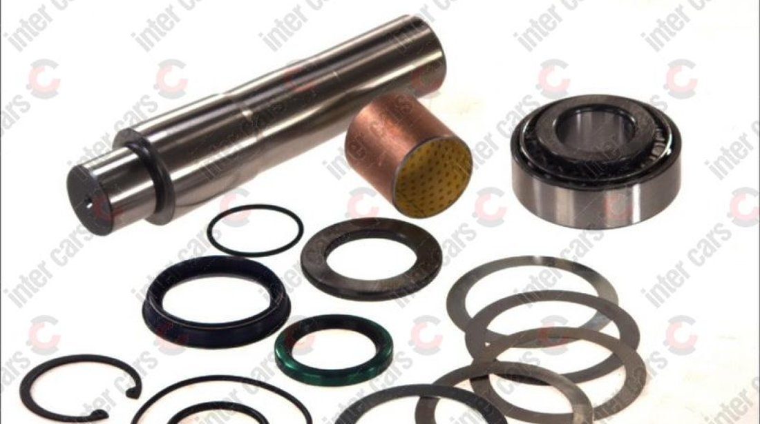 Set reparatie pivot SCANIA 4 - series Producator LEMA LE502