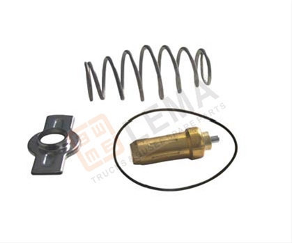 Set Reparatie, Pompa Apa Lema Iveco 451479