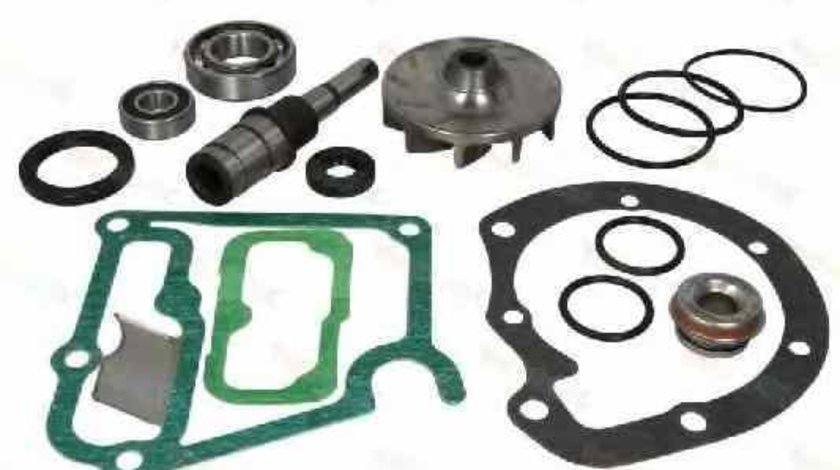 Set reparatie pompa apa MERCEDES-BENZ LK/LN2 THERMOTEC WP-ME111RK