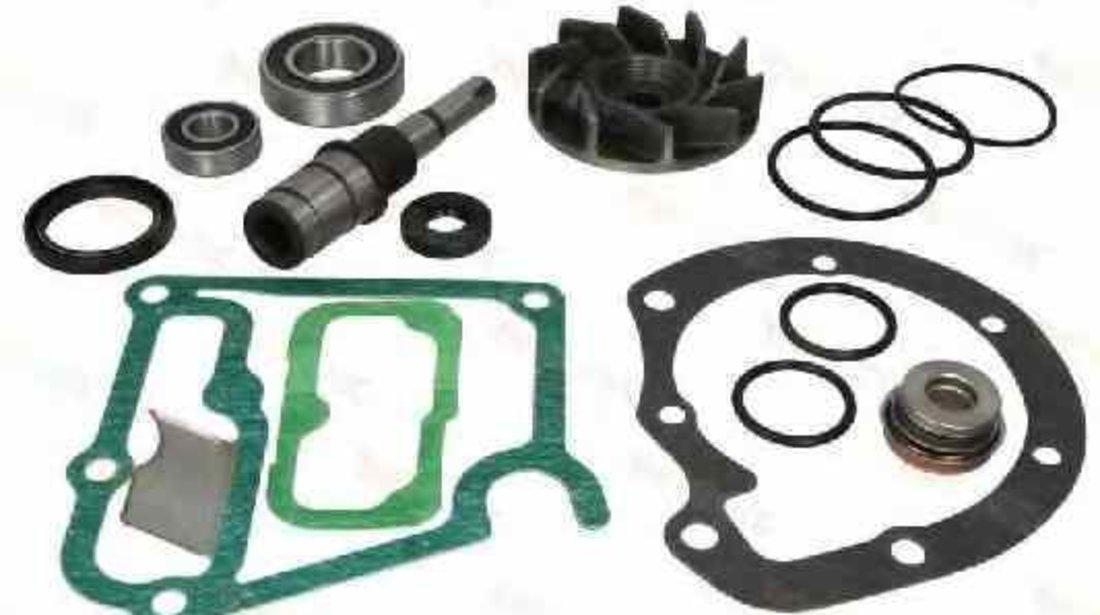 Set reparatie pompa apa MERCEDES-BENZ LK/LN2 THERMOTEC WP-ME111RK