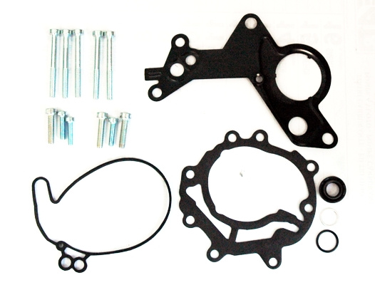 Set reparatie, pompa vacuum (Siste frana) (91111 MD)