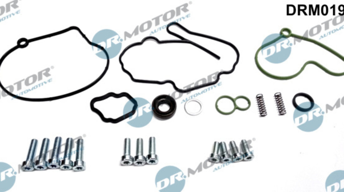 Set reparatie, pompa vacuum (Siste frana) (DRM0192 DRM) AUDI,FORD,SEAT,SKODA,VW