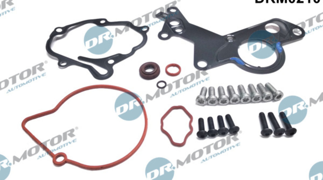 Set reparatie, pompa vacuum (Siste frana) (DRM0210 DRM) AUDI,FORD,SEAT,SKODA,VW